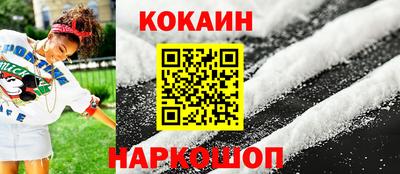 гидра Будённовск