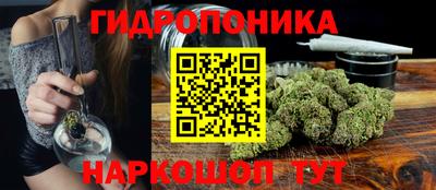гидра Будённовск