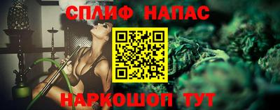 гидра Будённовск