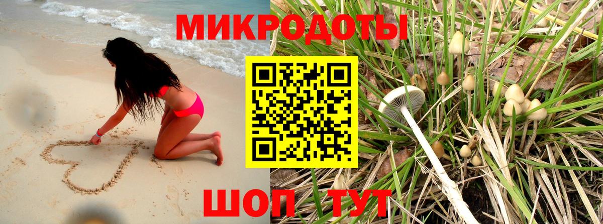 Южно-Сахалинск  Галлюциногенные грибы Magic Shrooms  Вход с VPN  Псилоцибиновые грибы Psilocybe 